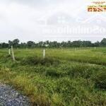 Sang nhượng gấp toàn bộ lô đất lúa tại đường số 18 nối dài thuộc thị trấn Lạc Tánh, huyện Tánh Linh, tỉnh Bình Thuận