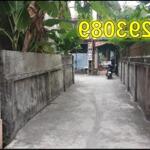 Chính chủ bán đất tặng nhà SHR giá rẻ duy nhất tại Đông Hưng, Thái Bình; 0977293089