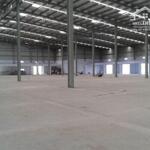 Bán Kho Xưởng 12000M2 Trong Kcn Vsip Thuận An, Bình Dương