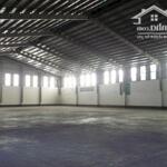 Cho thuê xưởng 4800m2-14000m2 KCN Mỹ Xuân B1, Tx Phú Mỹ, BRVT