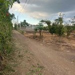 bán đất 2347m2 xã xuân bảo huyện cẩm mỹ
