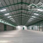 Cho Thuê Kho Xưởng 3.600M2 - 12.800M2 - 16.000M2 Mặt Tiền Tại Xã Lương Bình, Bến Lức