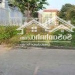 bán đất ngộp bank đường tân thành, đồng xoài. dt 125m2. sổ hồng riêng