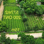 siêu phẩm nghỉ dưỡng s= 576,9m2 (200 ont - cln) giá rẻ - thích hợp làm homestay - pháp lý rõ ràng