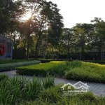 cho thuê căn liền kề 118m2 hoàn full hoặc cơ bản gamuda gardens