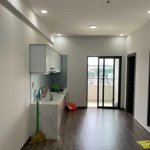 bán căn hộ nội thất mới 100%: căn 50m2 với 2pn 2wc ban công rộng view quận 1 thoáng mát - sổ sẵn