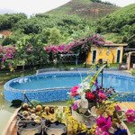 ==cần chuyển nhượng khu hommstay=- diện tích 2000m cực đẹp tại hoà lạc. giá cực tốt