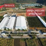 bán 250m2 sát vách khu công nghiệp thạch quảng, thạch thành, thanh hoá. giá chỉ hơn 200 triệu