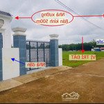 kẹt tiền bán 250m2 đất shr ngay kcn becamex, gần chợ dân đông. giá 230 triệu