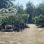 cần chuyển nhượng 5,5ha 55.0000m2 đất mặt tiền đường nhựa lớn