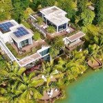 nhận đặt chỗ biệt thử đảo khu đô thị eco central park thành phố vinh. số lượng có hạn!