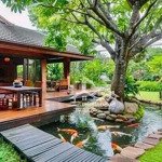 bán đất nền biệt thự gần nhà thờ lòng sông view sông trực diện giá 5.39 tỷ sổ đỏ