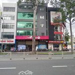 hđt 300tr/ th, bán tòa nhà building ngay mt trần hưng đạo-quận 1, dt:8 x 20 -169m2, hầm + 5t-50 tỷ