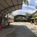 cho thuê kho bãi tân thới nhất, trường chinh, quận 12, dt: 1.300m2, giá 60tr/th