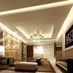 siêu vị trí, hẻm xe hơi nguyễn văn trỗi, pn - 5m x 25m (123m2) - xd: hầm 5 tầng - chỉ 19 tỷ tl