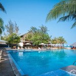 cơ hội sở hữu resort biển triệu đô - giá cực sốc - mặt biển trần hưng đạo 80m