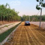 tân phong tân biên 5x58m, 279m2 50m2 tc cách nhựa 300m