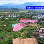 quốc trưởng bán lô đất 7420m2 ninh xuân - ninh hòa