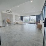 penthouse 120m2, sân vườn lớn ngay kdc tân quy đông gần lotte mart, crescent mall, nguyễn thị thập