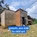 chính chủ bán gấp 12.300m2 full sầu riêng, tiêu, cafe chỉ 1.35 tỷ. đang thuê 75tr. lh 0973;610 214