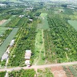 bán đất sào buôn ma thuột, chính chủ, sổ hồng trao tay