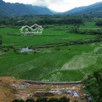 siêu lời 3015m2 view cánh đồng, cạnh dự án lớn cách tl12b chỉ 400m tại vĩnh tiến, kim bôi, hòa bình