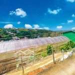 1126m đất trung tâm xã xuân trường, đà lạt qh full xây dựng, view đẹp. giá 3.2 tỷ