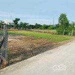 thiếu tiền kinh doanh cần bán gấp lô đất 200m2 thổ cư ngay chợ tầm vu, mt đỗ tường phong, shr