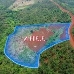 bán đất quảng tân, 3.3ha, 180m đường đang đổ bê tông, giá bán 1tỷ350