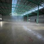 cho thuê kho mới 100% 3000, 4000m2, 7000m2 mũ đứcđông ql1a cái bè tiền giang