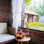 hạ 1 tỷ cần bán nhanh villa hội an, đường cửa đại, diện tích lớn, cách phố cổ 8 phút di chuyển