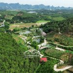 cần chuyển nhượng 7,6 ha đất nghỉ dưỡng tại thị trấn ba đồi lạc thủy hòa bình