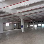 cho thuê kho xưởng 800-10.000m2 phường linh trung, có pccc tự động nghiệm thu