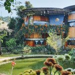 cho thuê cơ sở kinh doanh homestay, cafe