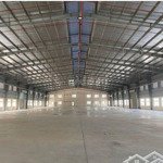 cho thuê 5500m2 nhà xưởng trong kcn vsip cẩm giàng pccc tiêu chuẩn hạng thành lập doanh nghiệp edi