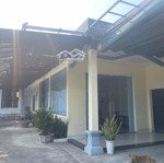 chào bán 7000m2 đất mặt tiền ql 14b . đang mở rộng 6 làn xe. có sẵn kho xưởng .