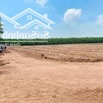 bán gấp 4.000m2 đất xã la ngà huyện định quán đồng nai. ngay ubnd - cạnh kdl tropical , sổ riêng.