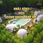 khu nghỉ dưỡng oasis glamping phước hải. 18tỷ thương lượng