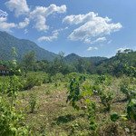 1,8 ha đất thôn muồng cháu - vân hoà - ba vì