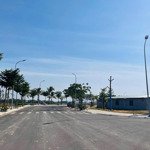 dự án central avenue khu kinh tế nhơn hội