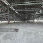 cho thuê xưởng 20.000m2 .kcn đức hòa long an.pccc tự động . bàn giao ngay