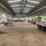 cho thuê 2000m2 đất kho xưởng đường trần phú, thành phố hạ long, tỉnh quảng ninh