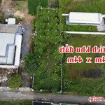 đất rẻ 550m2 full thổ . gần xã hòa khánh nam.cách tập đoàn cao lợi hưng 500m. chi tiết dưới video