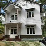 cho thuê villa view cực phẩm, phường 8, đà lạt