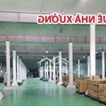 chính chủ cần cho thuê nhà xưởng mới tại phật tích, bao giá thị trường. lh 0963 207 603