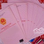 quỹ đất mặt biển vịnh bái tử long