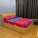 cho thuê căn hộ 2 pn full nội thất lavida plus,nguyễn văn linh,p.tân phong,quận 7 giá 14 triệu