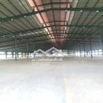 cho thuê kho xưởng trống suốt 5.500m2 tại đường số 8, kcx linh trung, thủ đức.