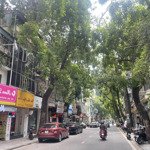 bán nhà mặt phố lý nam đế, quận hoàn kiếm, thành phố hà nội, 129m2, mt: 4m. giá: 45.5 tỷ. cực hiếm.