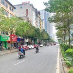 [hàng hiếm] bán tòa 8 tầng giảng võ- vũ thạnh, 86m2, mt 7m, ô tô tránh, th/máy, gara- dt 1.2 tỷ/năm